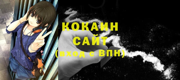 дурь Горняк