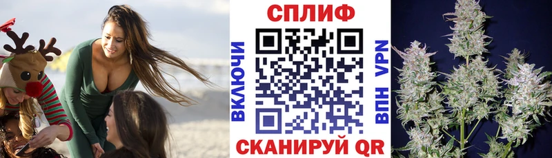 Канабис ГИДРОПОН Керчь